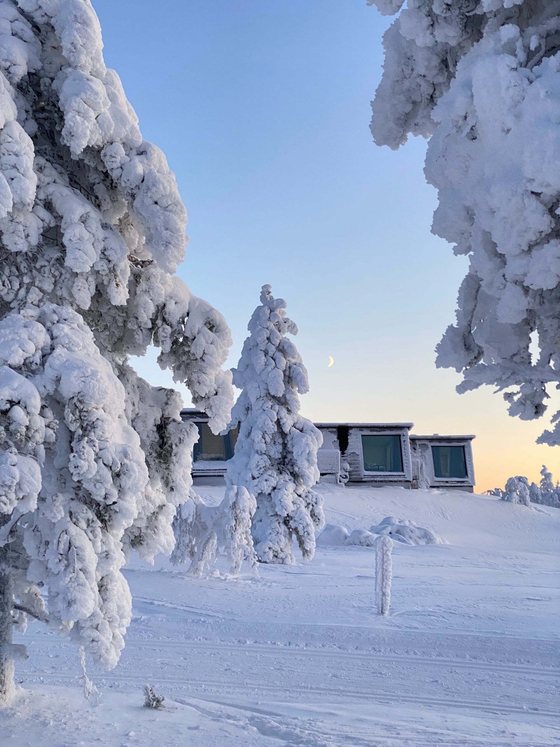 Signature Suite room info | Aurora Collection Resort